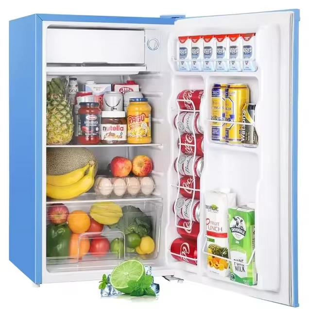 Mini Fridge with Freezer