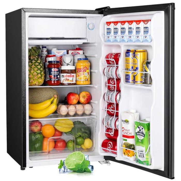 Mini Fridge with Freezer