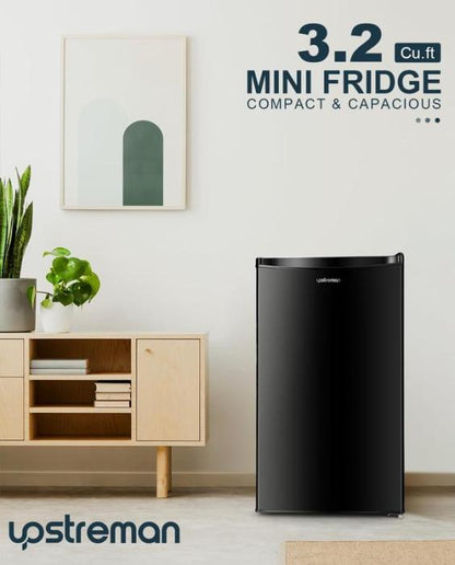 Mini Fridge with Freezer